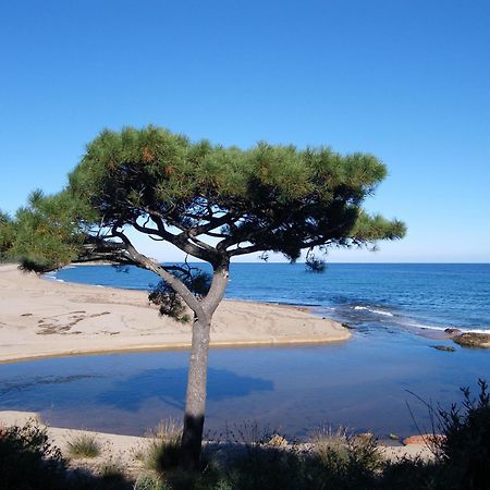 Domaine De La Testa Сент-Люси-де-Пор Экстерьер фото